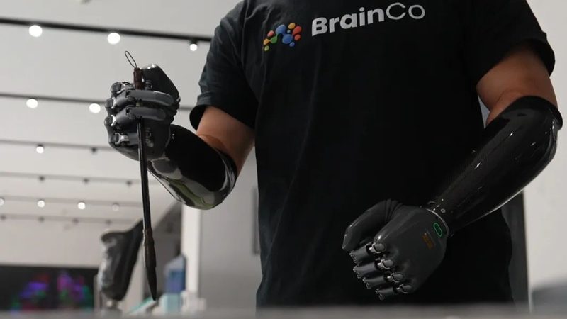 ELT工具与数据仓库：高效数据处理的黄金搭档