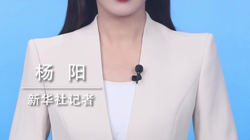 农村信息化建设：代理加盟的机遇与挑战**