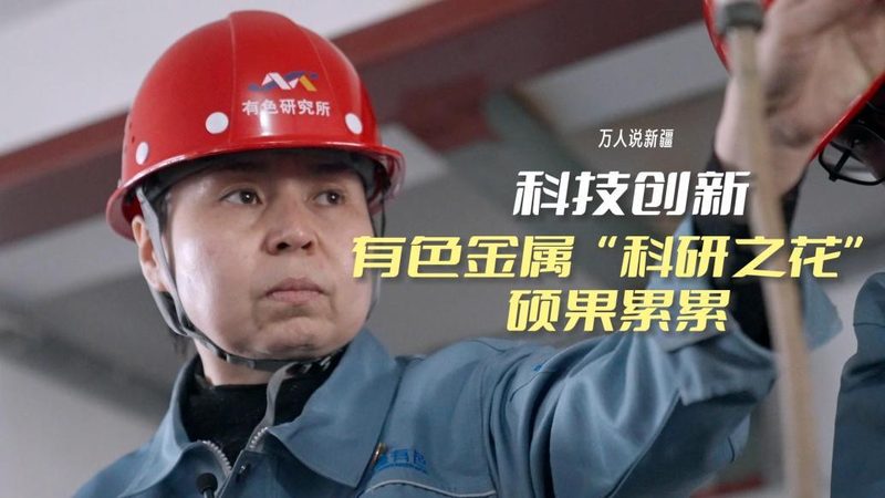 数据湖与机器学习平台：不是二选一，而是协同作战
